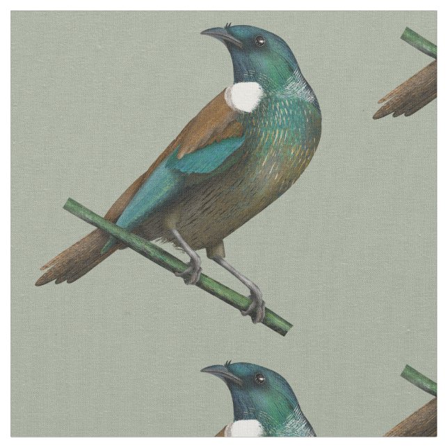 Tui New Zealands Bird Stoff (Nahaufnahme)
