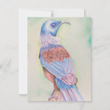 Tui - Postkarte