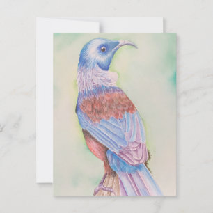 Tui - Postkarte