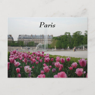 Tuileries Garden in Blüte Postkarte