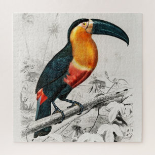 Tukan Ramphastos Illustration Vintage Art Print Puzzle