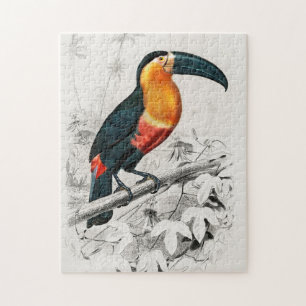 Tukan Ramphastos Illustration Vintage Kunst Druck Puzzle