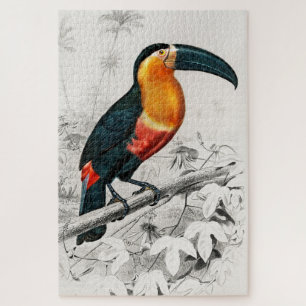 Tukan Ramphastos Illustration Vintage Kunst Druck Puzzle