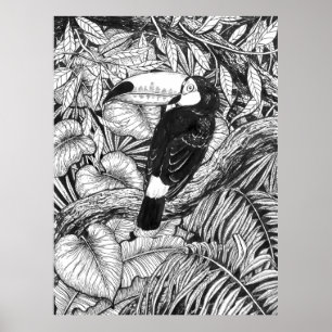Tukan tropischer Garten Poster