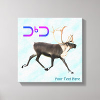 Tuktu - Karibik im Schnee