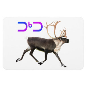 Tuktu - Karibik Magnet