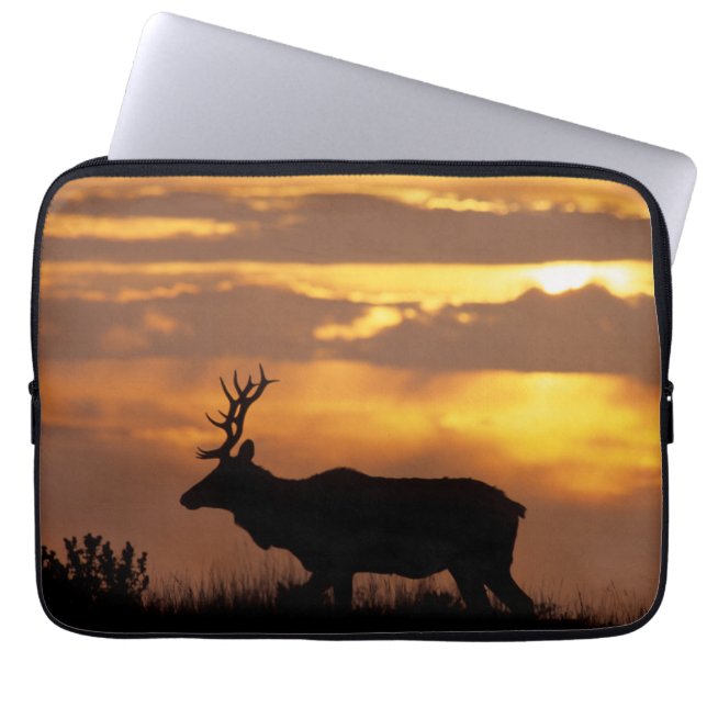 Tule Elk | Point Reyes National Seashore Laptopschutzhülle (Vorderseite)