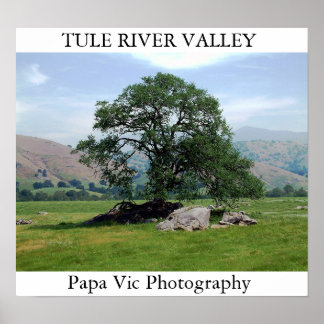 TULE RIVER VALLEY POSTER