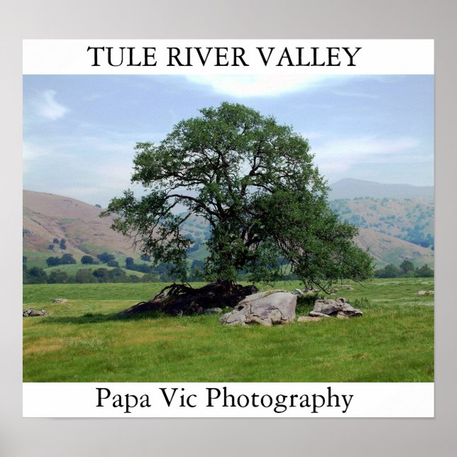 TULE RIVER VALLEY POSTER (Vorne)