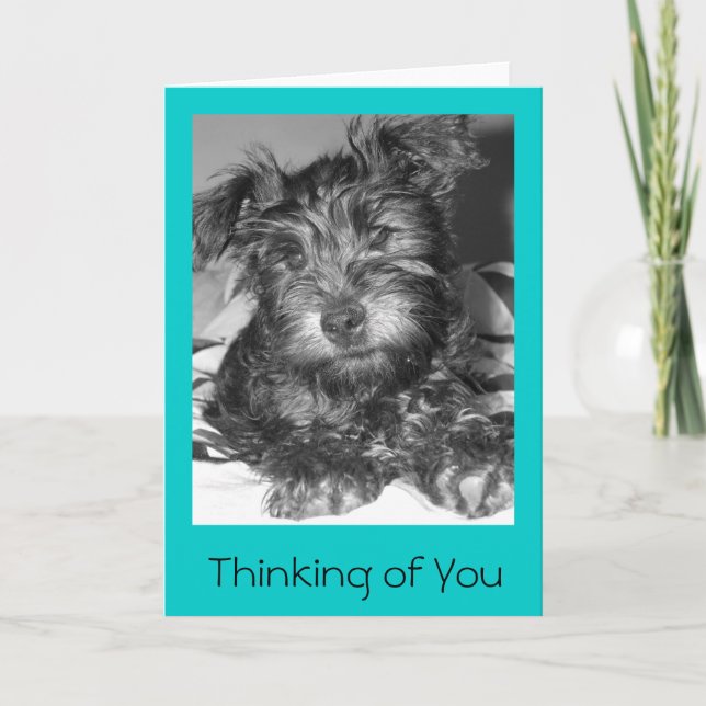 Tulio Karte (Vorderseite)