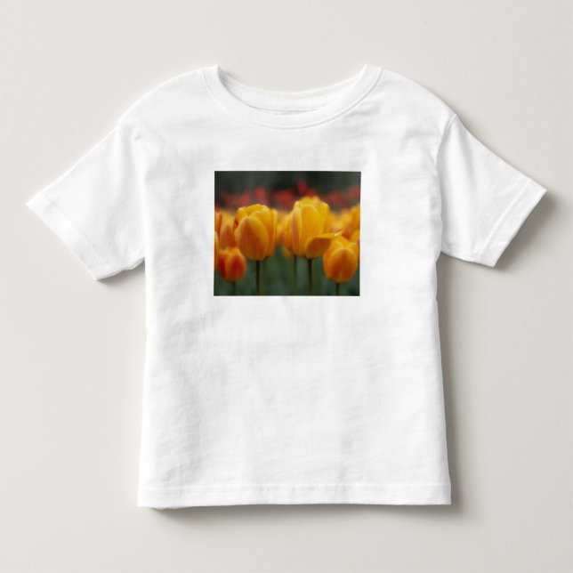 Tulip 2 kleinkind t-shirt (Vorderseite)