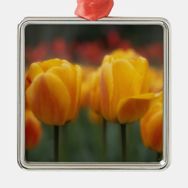 Tulip 2 ornament aus metall (Vorne)