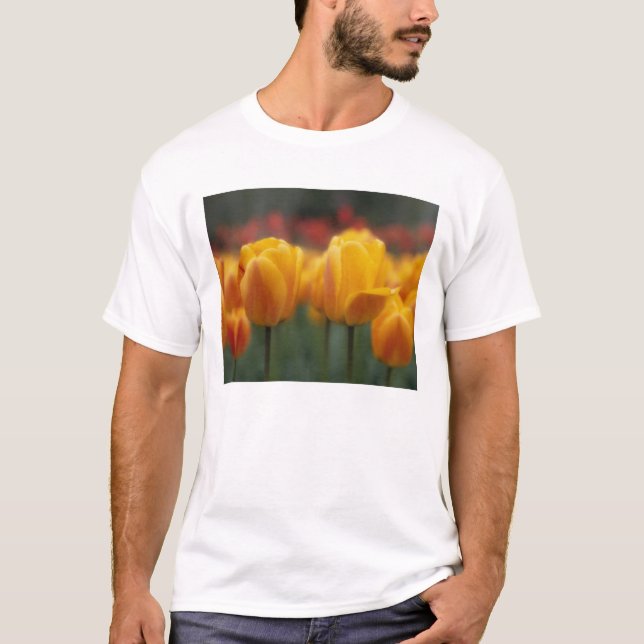 Tulip 2 T-Shirt (Vorderseite)