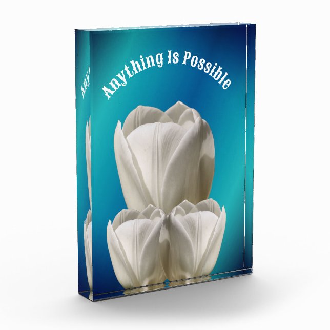 Tulip Blume Alles ist möglich Inspiration Fotoblock (Links)