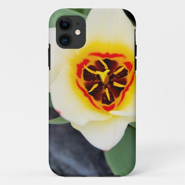 Tulip-Blume Case-Mate iPhone Hülle (Rückseite)