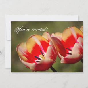 Tulip Blume Einladung