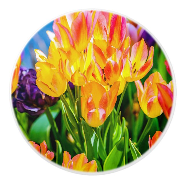 Tulip-Blume - Geblüht Keramikknauf (Vorderseite)
