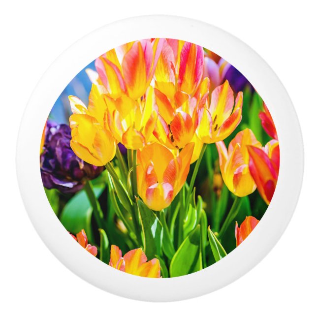 Tulip-Blume - Geblüht Keramikknauf (Vorderseite)