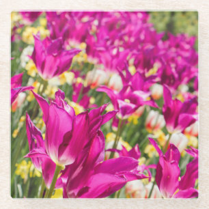 Tulip Blume in Fuchsia Glasuntersetzer