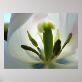 TULIP BLUME INSIDE Art Print Spring Tulip Leinwand Poster
