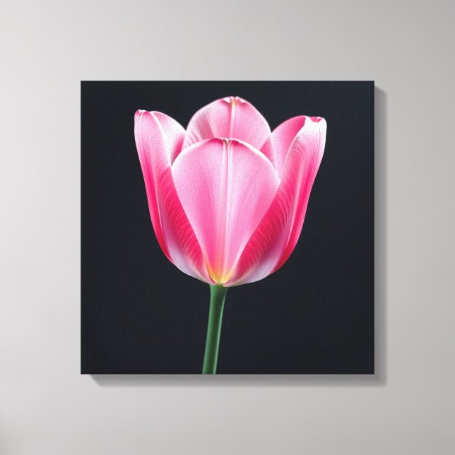 Tulip Blume Leinwanddruck (Vorderseite)