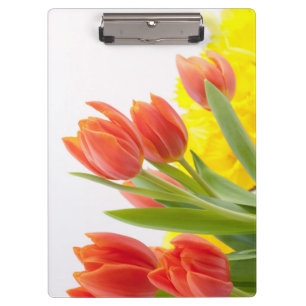 Tulip Blume Petals Orange Nature Decorative Klemmbrett