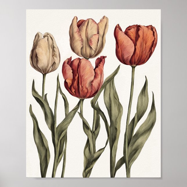 Tulip-Blume Poster (Vorne)