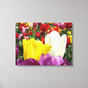 Tulip Blume Tafel Leinwand Kunstdrucke Tulip