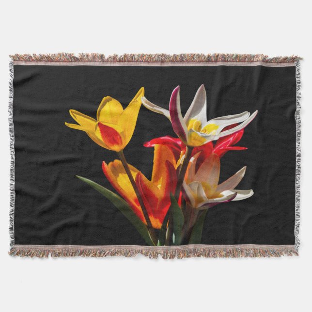 Tulip-Blume vor schwarzem Hintergrund Decke (Vorderseite)