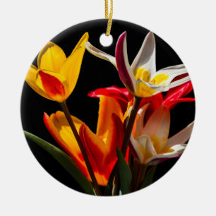 Tulip-Blume vor schwarzem Hintergrund Keramik Ornament
