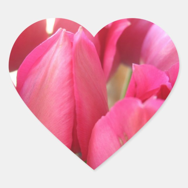 Tulip Bulbs Stickers (Vorderseite)
