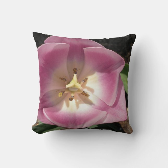 Tulip Burst ~pillow Kissen (Vorderseite)