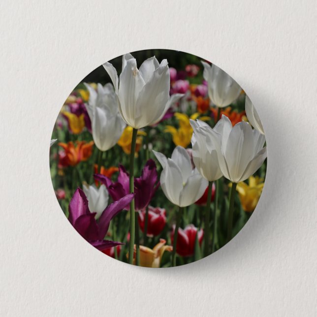 Tulip Button (Vorderseite)