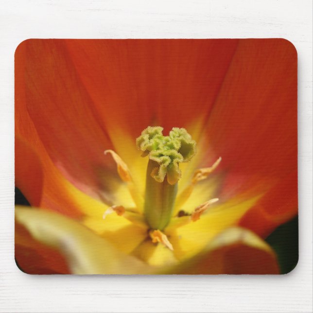 Tulip Center Mousepad (Vorne)