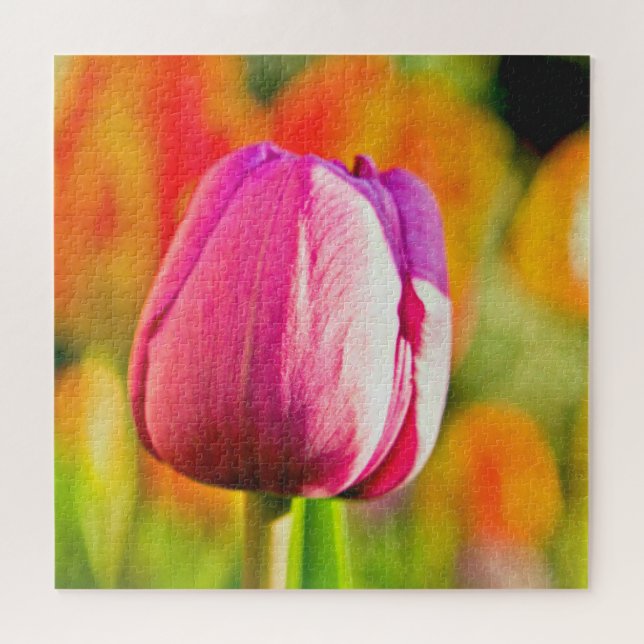 Tulip Collage Puzzle (Horizontal)