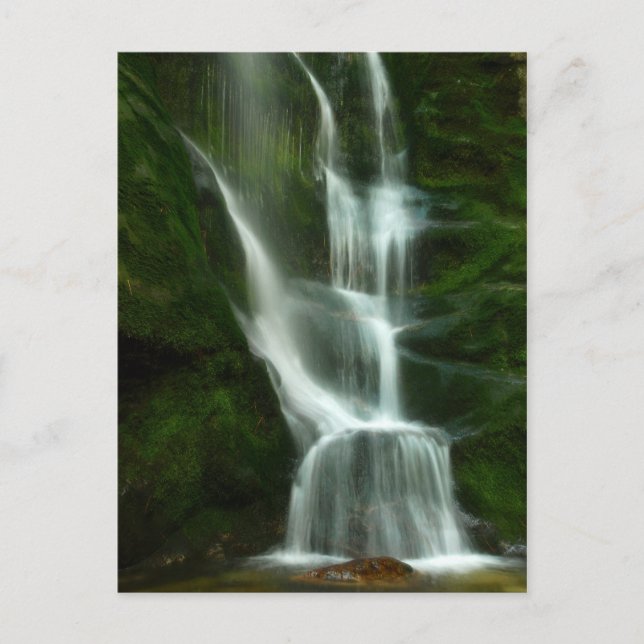 Tulip Creek Falls, Castlegar BC Postkarte (Vorderseite)