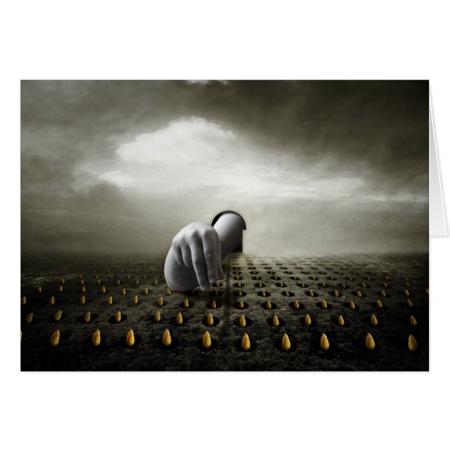 Tulip Dieb 2013 (Vorderseite (Horizontal))