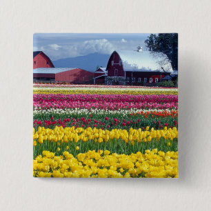 Tulip-Display-Feld Button