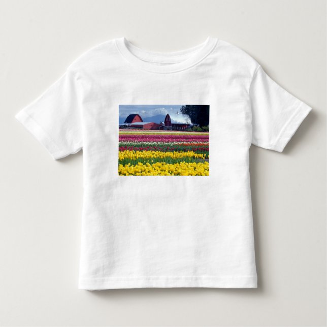 Tulip-Display-Feld Kleinkind T-shirt (Vorderseite)