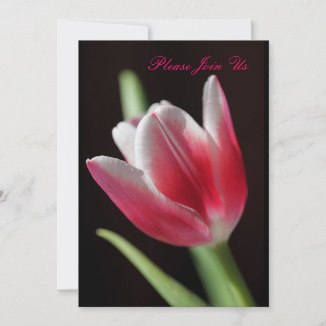Tulip Einladung (Vorderseite)