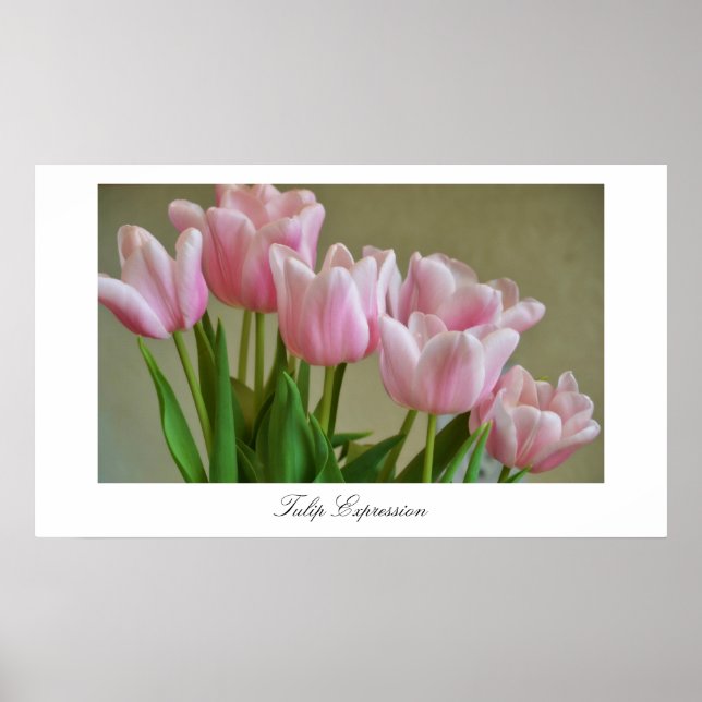 Tulip Expression Poster (Vorne)