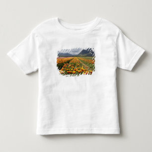 Tulip Farm in der Nähe von Agassiz, British Colum Kleinkind T-shirt