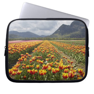 Tulip Farm in der Nähe von Agassiz, British Colum Laptopschutzhülle