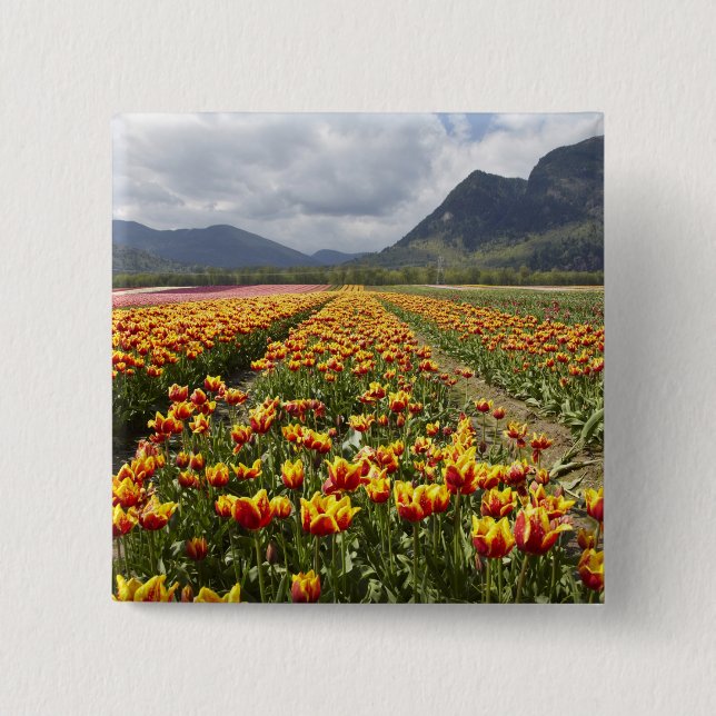 Tulip Farm in der Nähe von Agassiz, British Columb Button (Vorderseite)