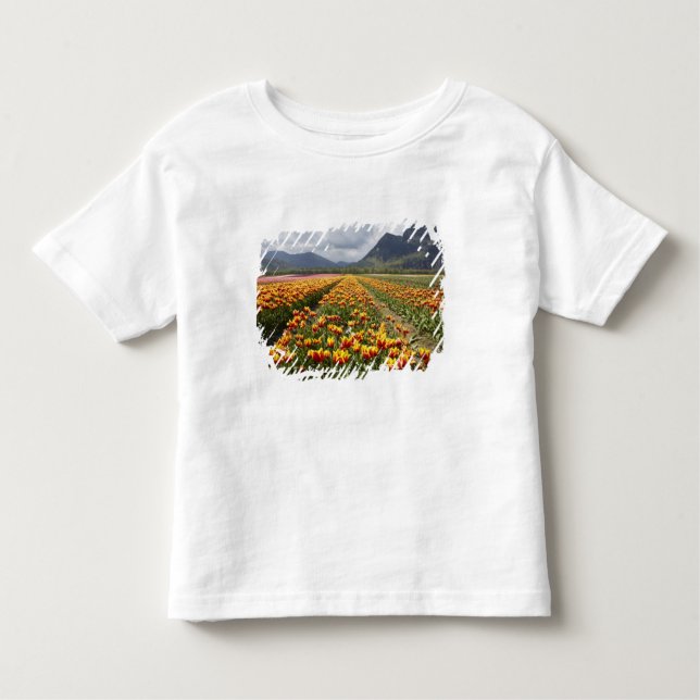 Tulip Farm in der Nähe von Agassiz, British Columb Kleinkind T-shirt (Vorderseite)
