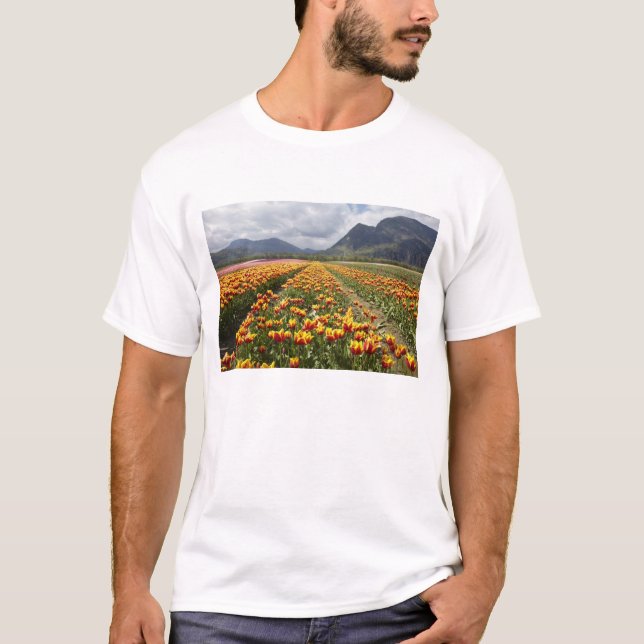 Tulip Farm in der Nähe von Agassiz, British Columb T-Shirt (Vorderseite)