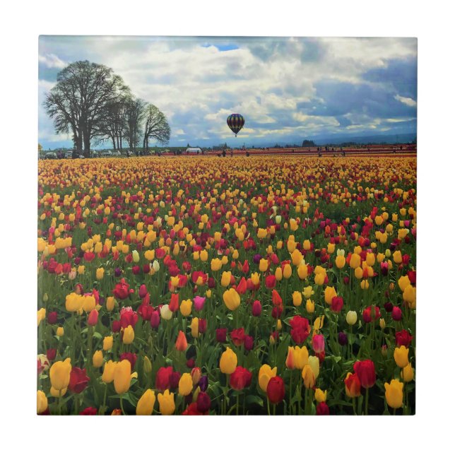 Tulip Farm in Oregon Fliese (Vorderseite)