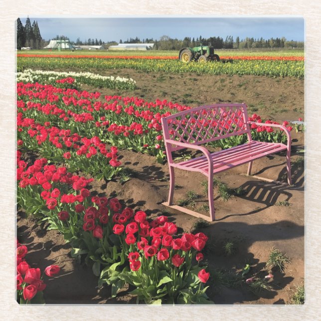Tulip Farm in Oregon Glasuntersetzer (Vorderseite)