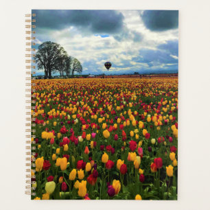 Tulip Farm in Oregon Planer