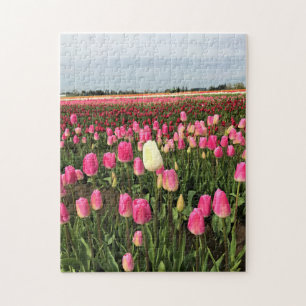 Tulip Farm in Oregon Puzzle